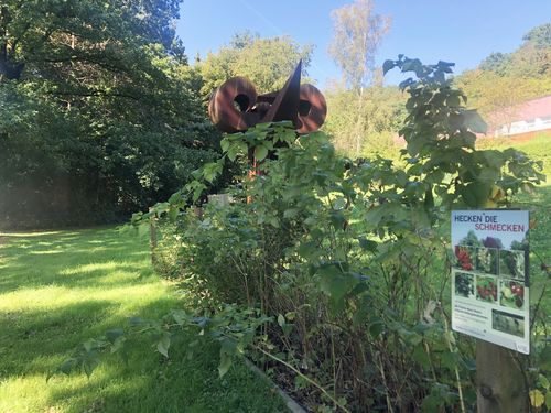 Früchte, Hecke, JKU Campus