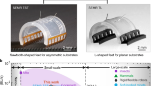 Ultrafast SEMR