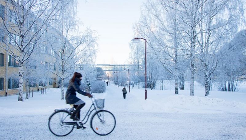 Umeå University; photo credit: Ulrika Bergfors Kristroem