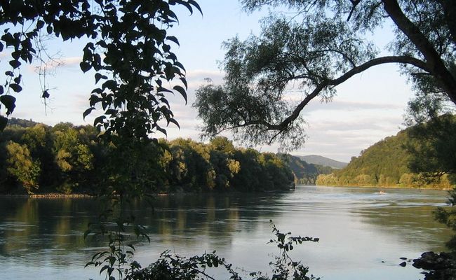 Summer Danube
