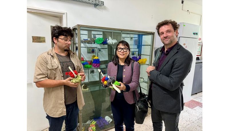 Assoc. Prof. Marius Mihasan (Faculty of Biology), Soyoung Lee (with 3D-printed model of a LAC-Operon) Andrei; photo credit: JKU